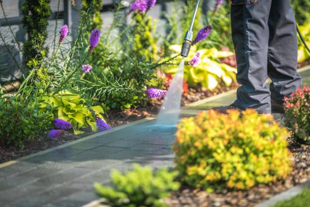 Reliable Yountville, CA Pressure Washing Services Solutions